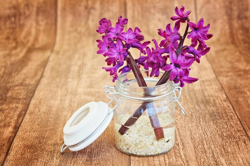 Repurposed Mason Jar Planters